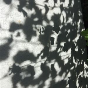 Meet your Posher, Leslie